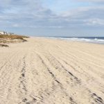beaches in fernandina beach florida featured image