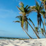 beaches in key west florida featured image