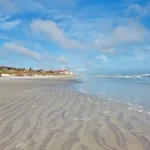 beaches in new smyrna beach florida featured image