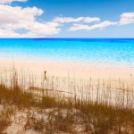 beaches in niceville florida featured image