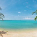 beaches in sarasota florida featured image