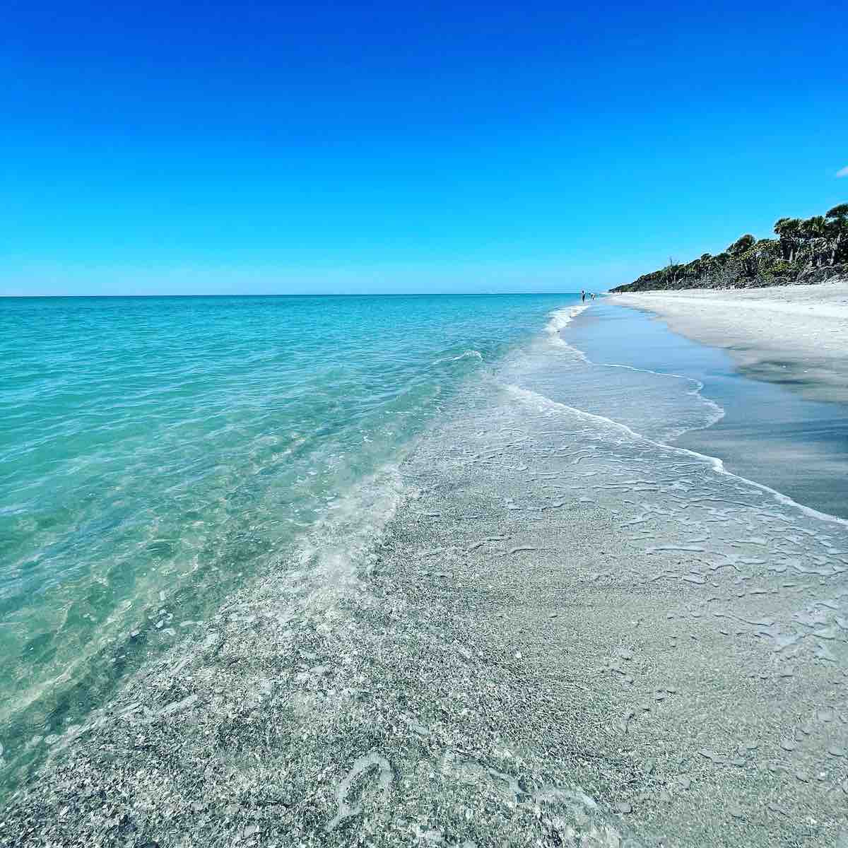 beaches in venice florida featured image