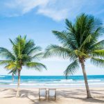 beaches on gulf coast florida featured image