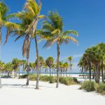 beaches in miami florida featured image