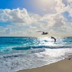 beaches in riviera florida featured image