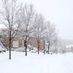 does it snow in miami featured image