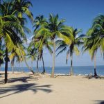 miami weather featured image