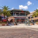 dog friendly breweries tampa featured image