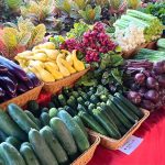 farmers markets in tampa fl featured image