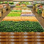 organic food stores in tampa fl featured image
