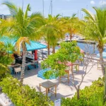 outdoor dining in tampa fl featured image