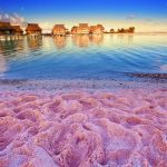 pink beaches in florida featured image