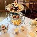 tea houses in tampa fl featured image