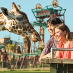 tours in tampa fl featured image