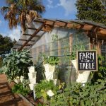 farm to table restaurants in tampa fl featured image
