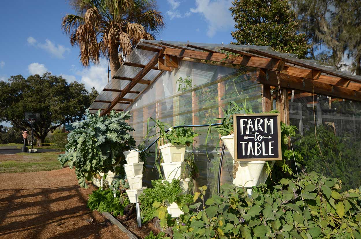 farm to table restaurants in tampa fl featured image