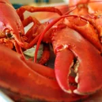 lobster restaurants in tampa fl featured image