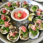 raw bars in tampa fl featured image