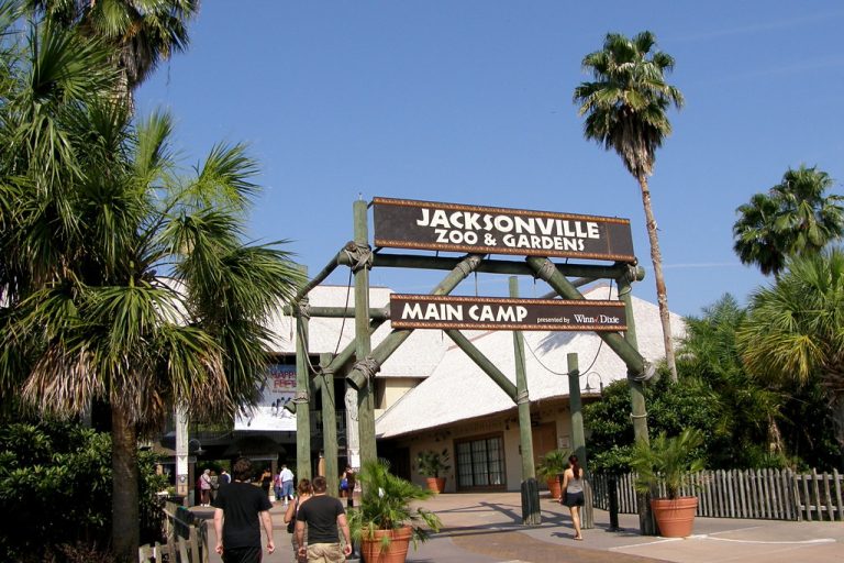 Jacksonville Zoo & Gardens AZ Guide for FirstTime Visitors