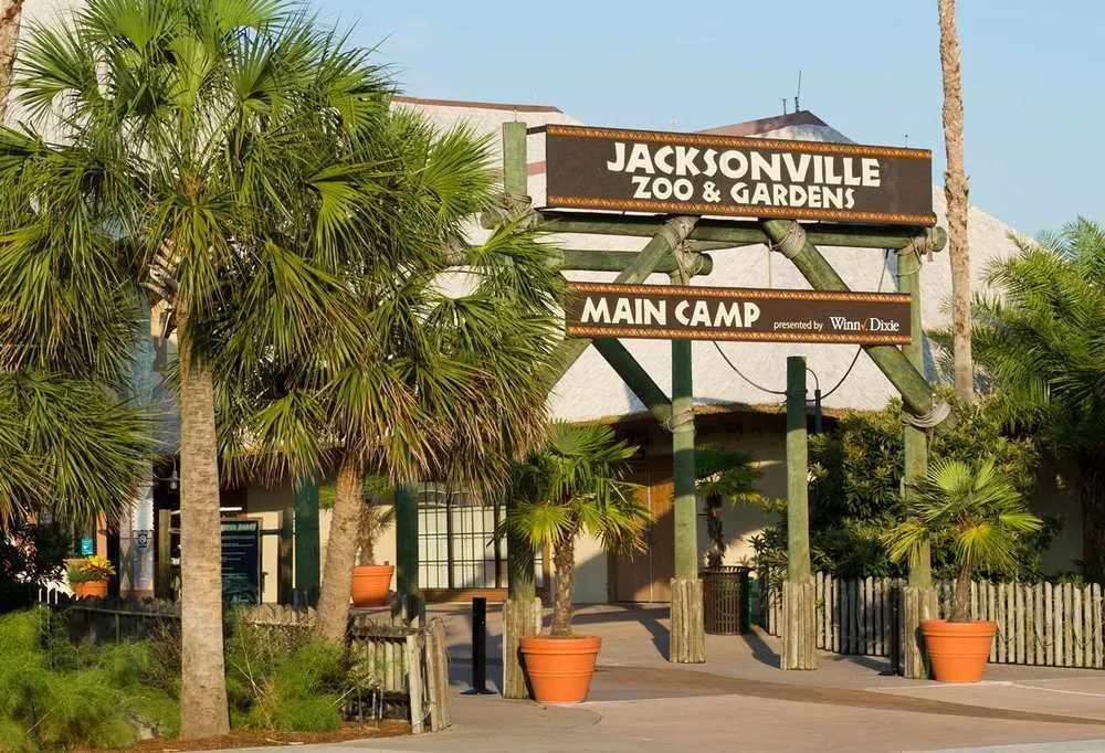 Jacksonville Zoo & Gardens: A-Z Guide for First-Time Visitors